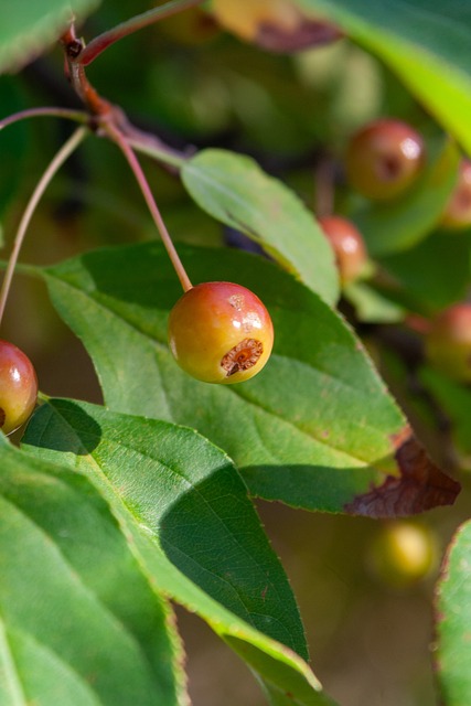 赛结局遭诟 赛结局遭诟