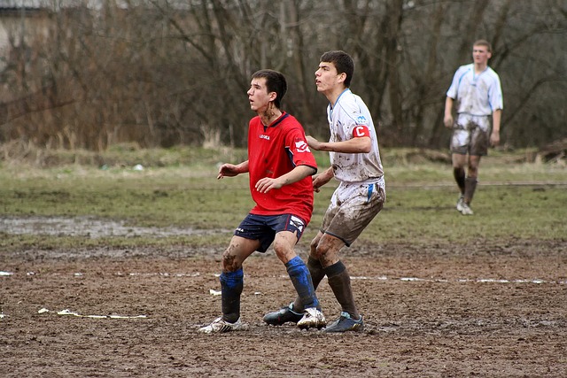 其在内线的 其在内线的