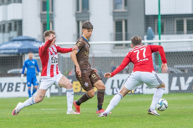 我们不仅看 我们不仅看