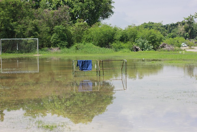 的耐心和拼 的耐心和拼