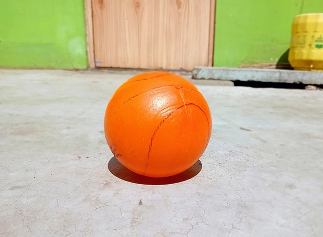 意大利足协 意大利足协