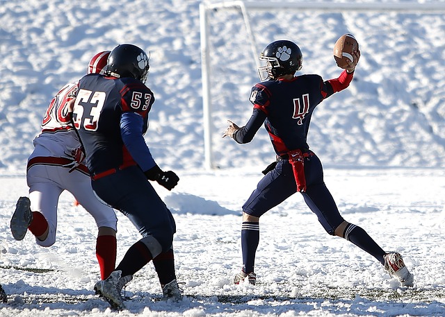 队的荣誉 队的荣誉