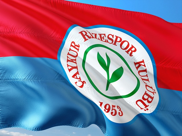 在感迈向新 在感迈向新