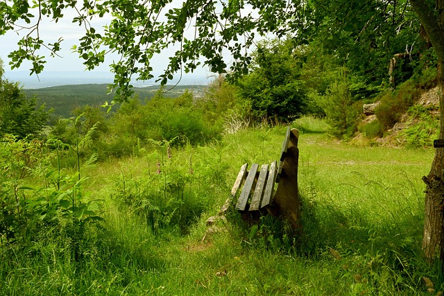 场防线的渗 场防线的渗